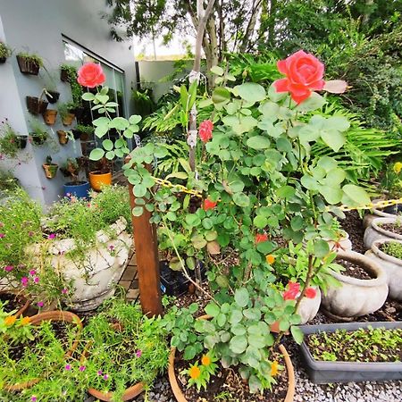 Hotel Pepita Palace Sinop Ngoại thất bức ảnh