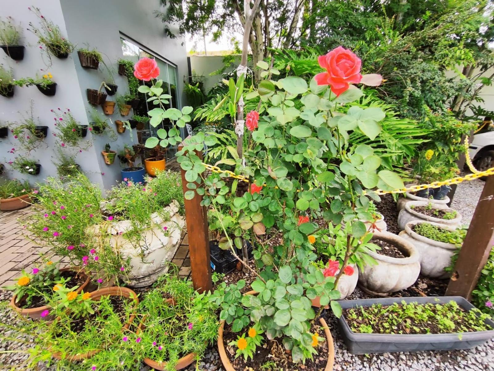 Hotel Pepita Palace Sinop Ngoại thất bức ảnh